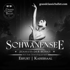 07.10.2026 - Schwanensee - Jenseits der Bühne mit Live-Streichquartett Mittwoch | 07.10.2026 | 20:00 Uhr